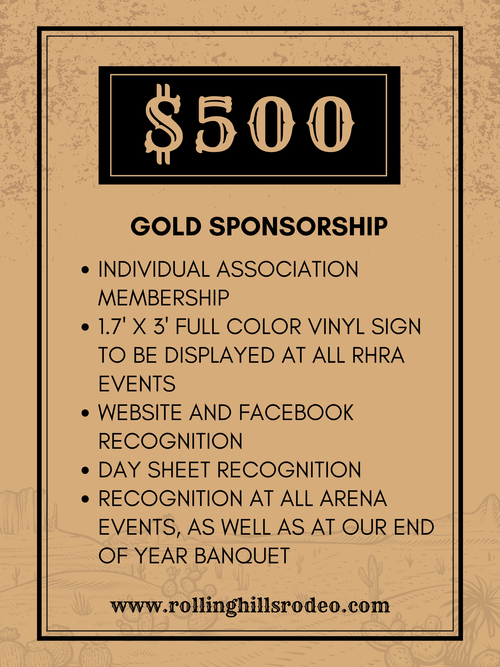 $500 Sponsorship